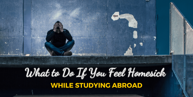 Blog cover pic – Website (59)