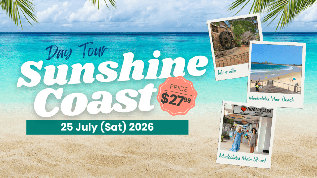 25 July Sunshine Coast (Montville + Mooloolaba) Day Tour - SOL Edu