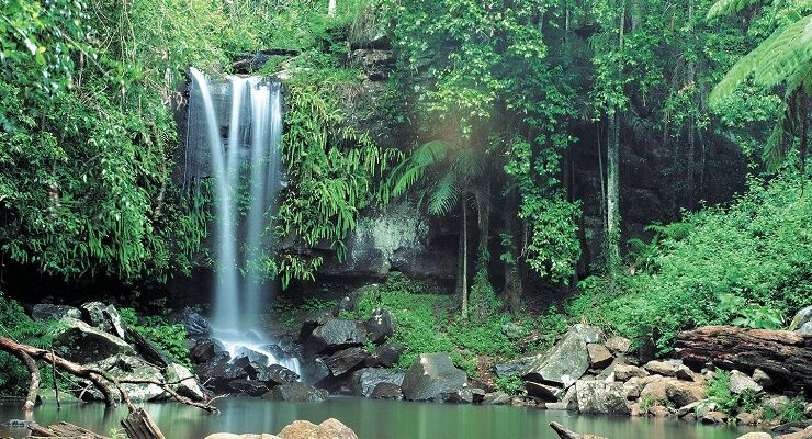 Curtis Falls