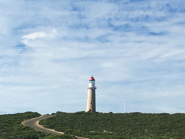 Processed with VSCO with aga2 preset