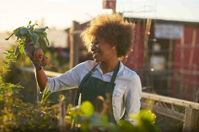STSOL-lista-de-ocupaciones-a-corto-plazo-en-australia-sol-edu-latinos STSOL-lista-de-ocupaciones-a-corto-plazo-en-australia-sol-edu-latinos