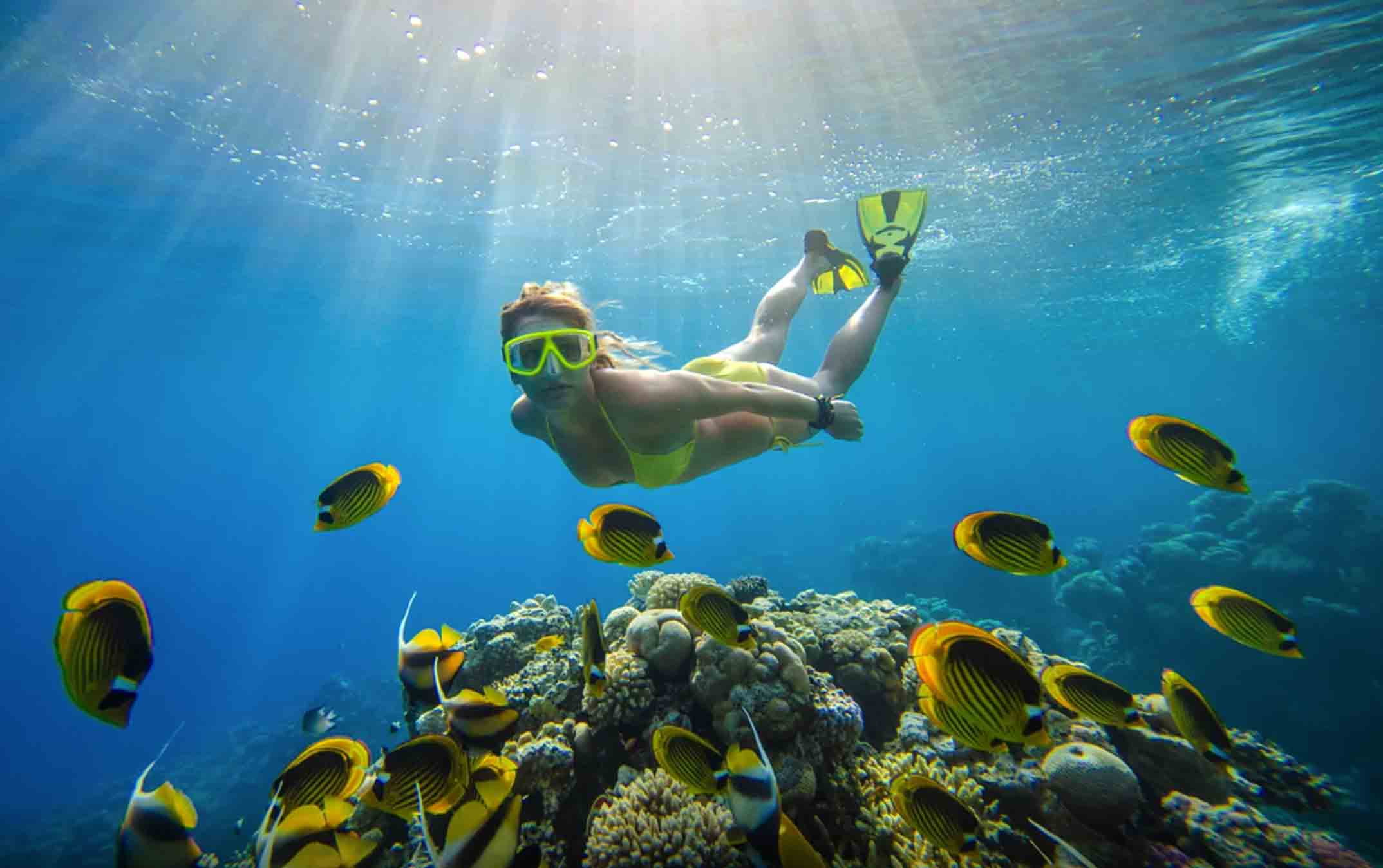 bucear-en-la-gran-barrera-de-coral-los-mejores-lugares-para-visitar-australia