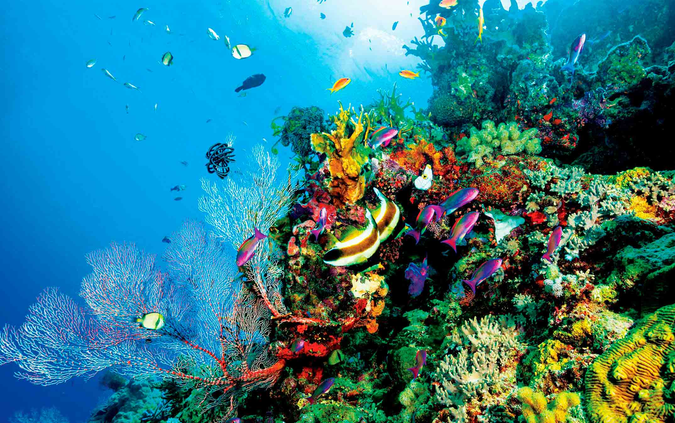 la-gran-barrera-de-coral-los-mejores-lugares-para-visitar-australia