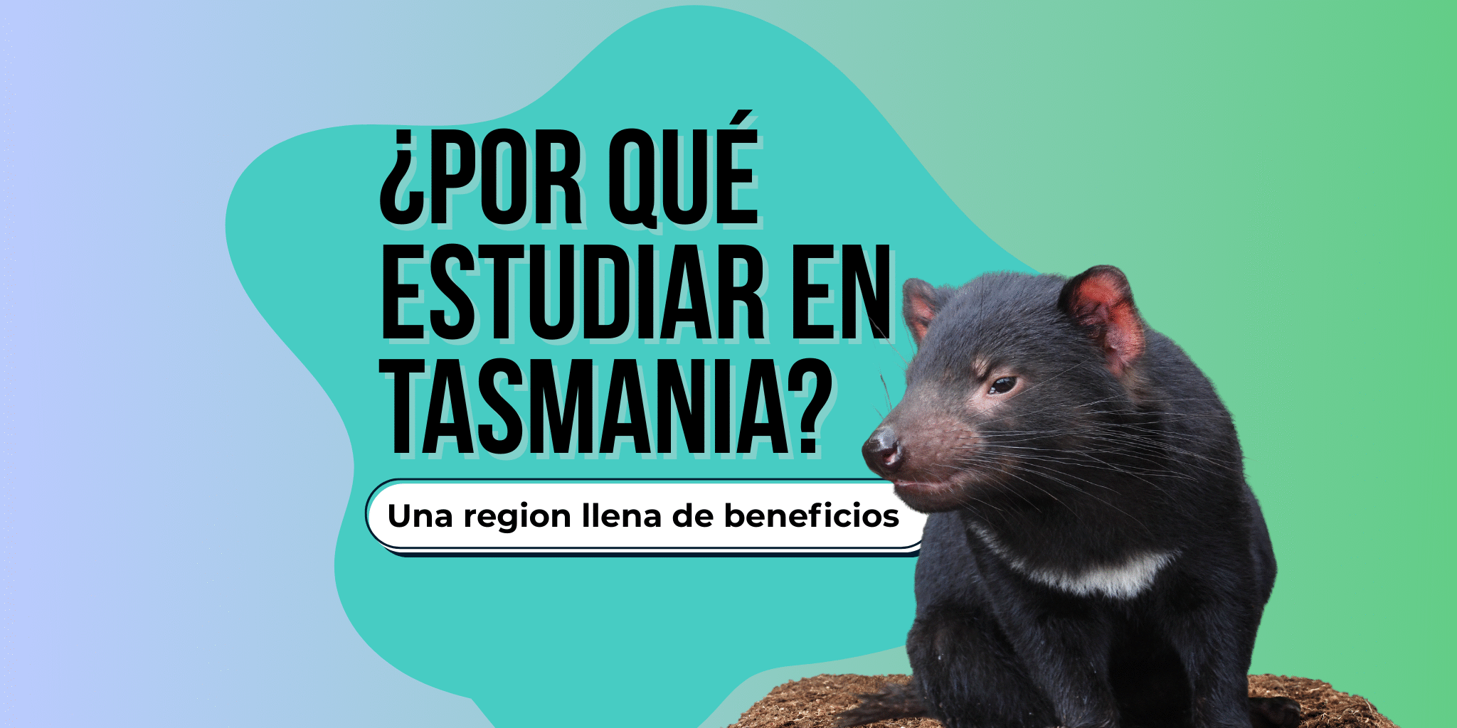 TasTAFE