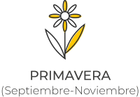 temporada-primavera-en-Australia Clima-en-la-ciudad-de-Brisbane-Gold-coast-Melbourne-Sidney-perth-hobart