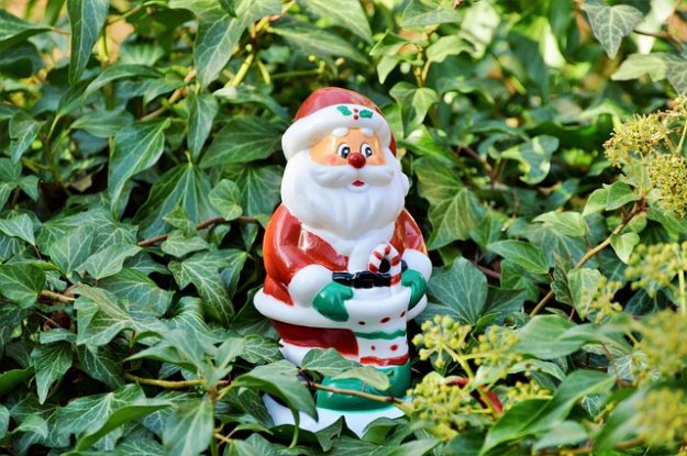 santa clause in the garden Langport cover photo