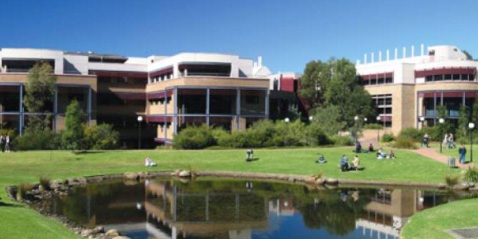 ウロンゴン大学 Uow オーストラリア留学するならsol留学 ウロンゴン大学 Uow オーストラリア留学するならsol留学