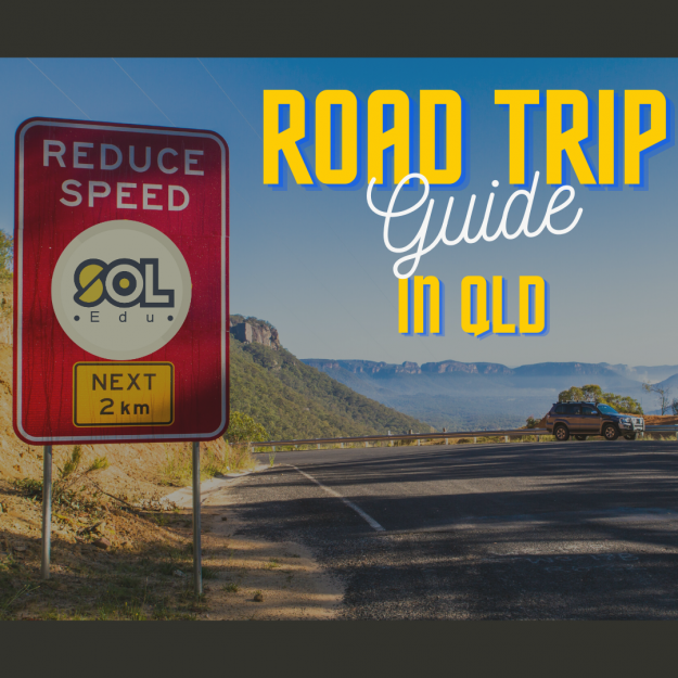 ロードトリップ クイーンズランド ロードトリップ クイーンズランド