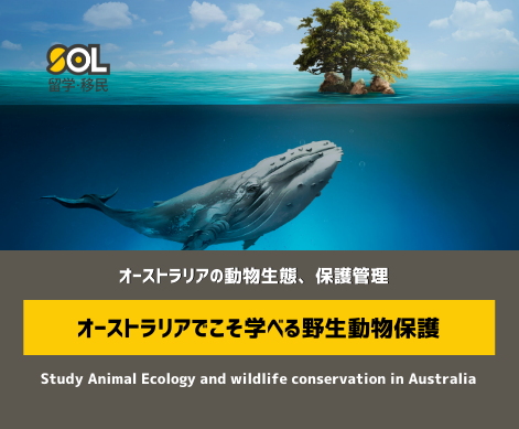 animal ecology blog (1)