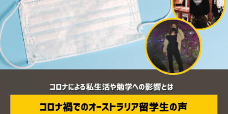 animal ecology blog (2)