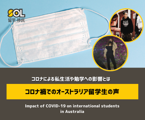 animal ecology blog (2)