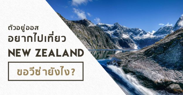 NZvisa