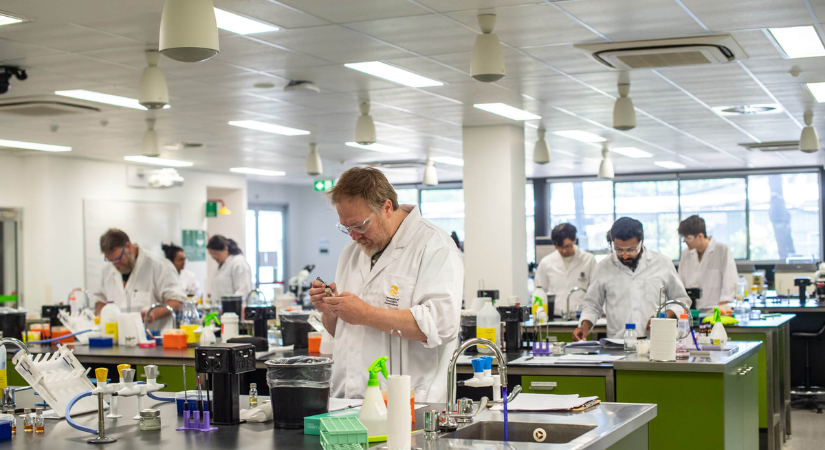 unisq-medical-laboratory-science unisq-medical-laboratory-science