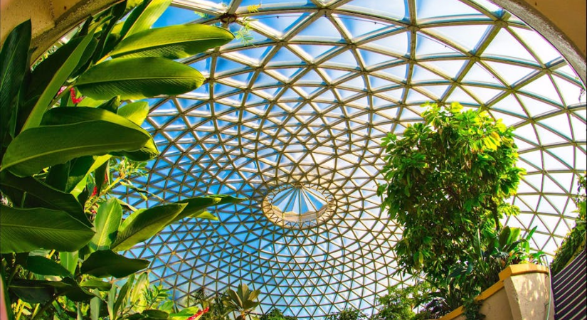 布里斯本景點推薦-19-城市植物園 布里斯本景點推薦-19-城市植物園