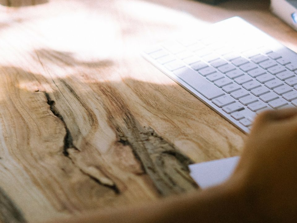 Chương trình Professional Year.