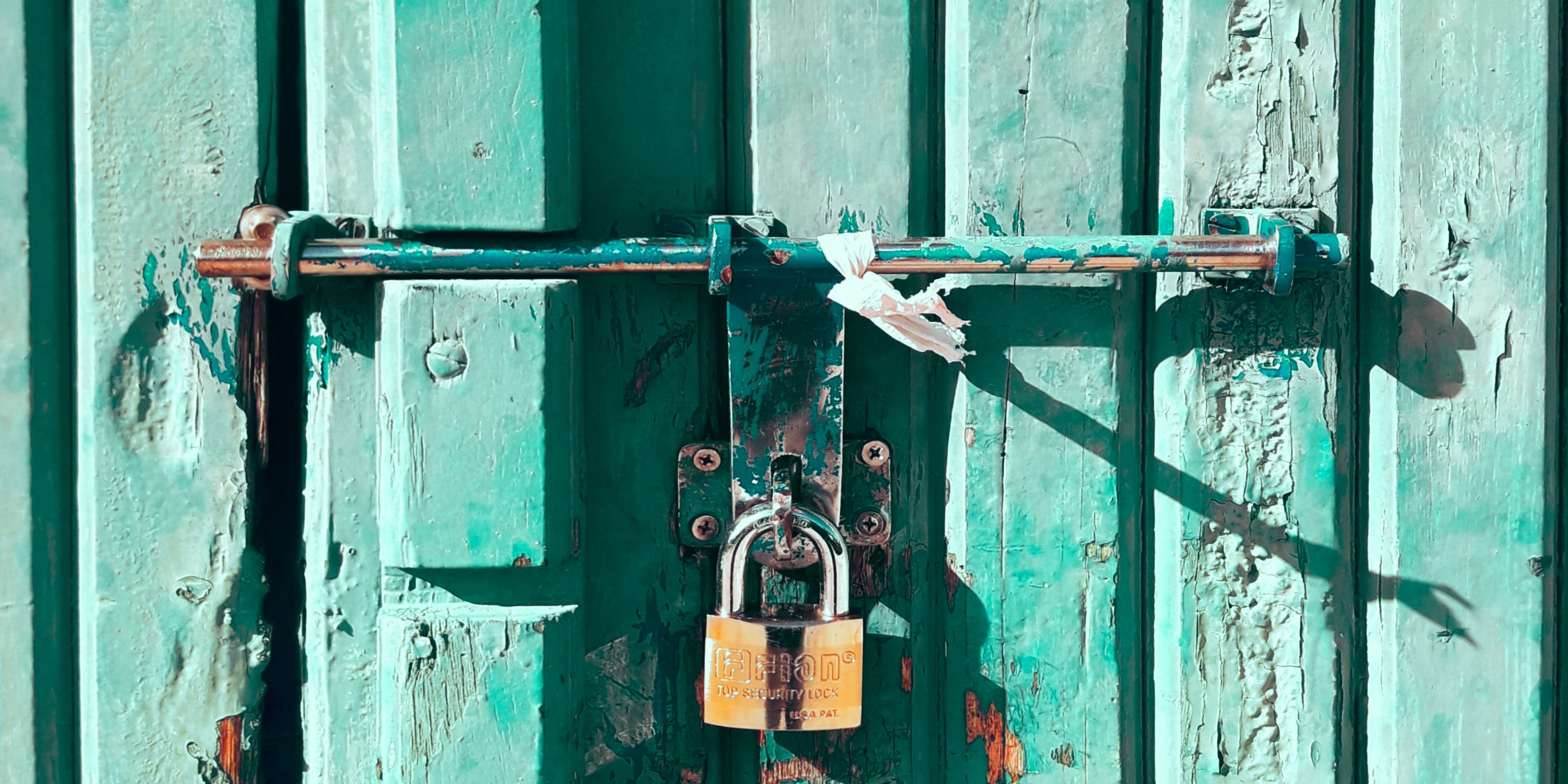 hussan-amir–likB8H-IFk-unsplash