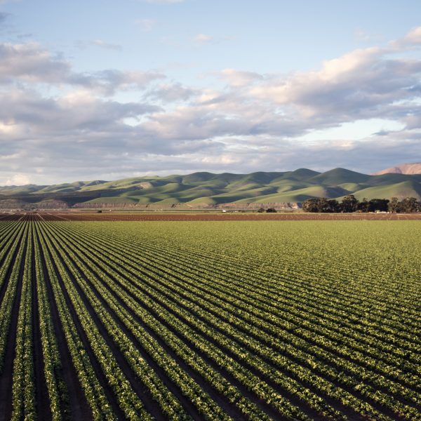 photo-of-green-field-near-mountains-974314