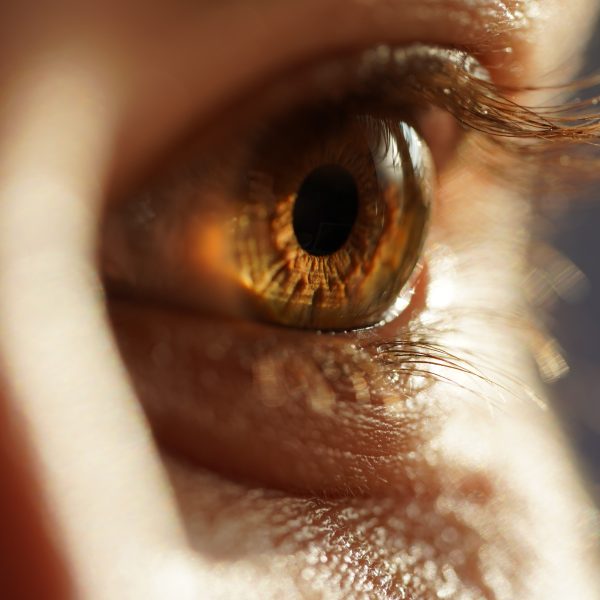 selective-focus-photo-of-woman-s-eye-2453727