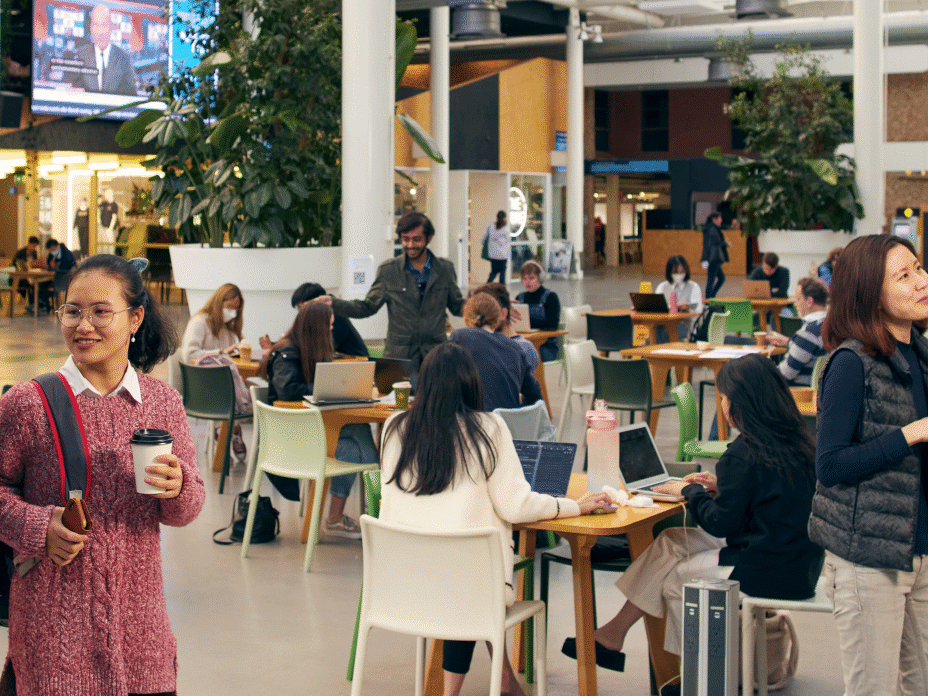 Học Bổng 50% Từ Đại Học Adelaide 2025 – Ưu Đãi Cho Sinh Viên Tại Úc