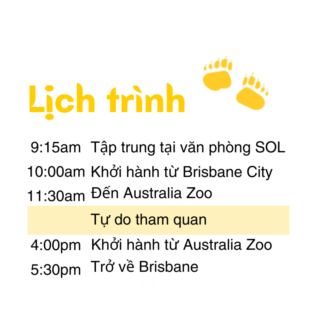Lịch trình chi tiết chuyến đi Australia Zoo do SOL Edu tổ chức cho du học sinh tại Brisbane